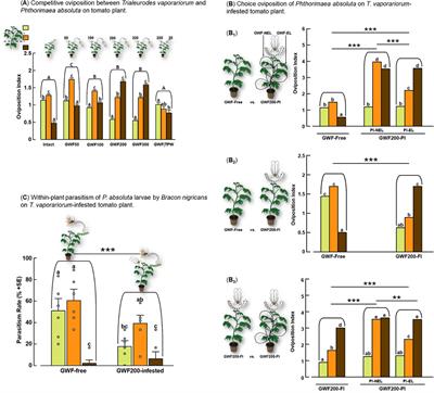 Herbivore intraguild interactions decrease ectoparasitoid Bracon nigricans parasitism of Phthorimaea absoluta and responses to tomato volatiles